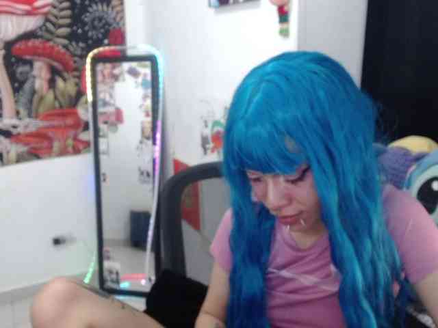 hachi-kitty webcam