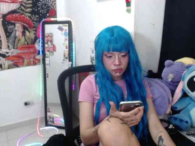 hachi-kitty webcam