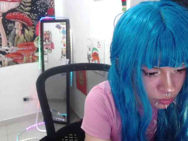 hachi-kitty webcam