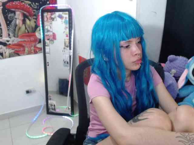 hachi-kitty webcam