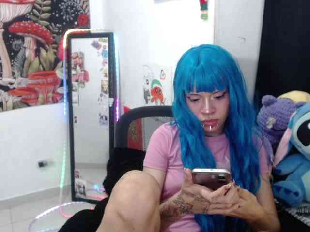 hachi-kitty webcam