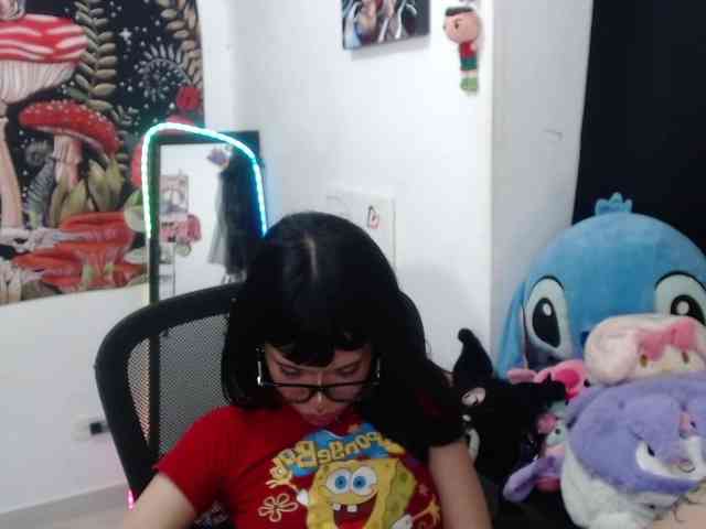 hachi-kitty webcam