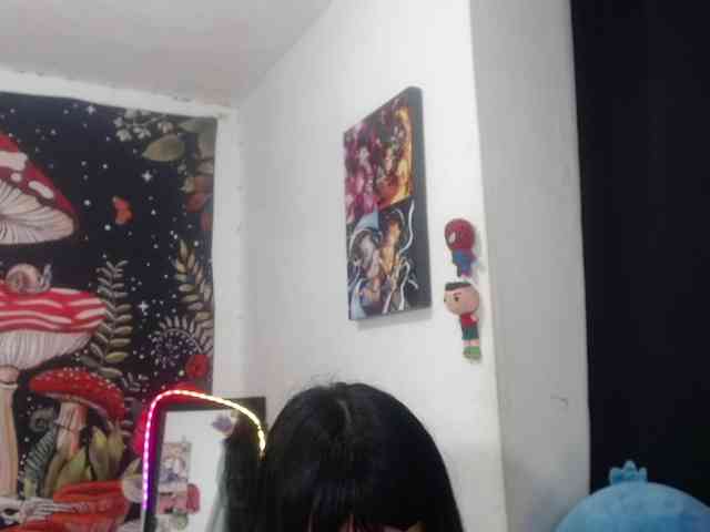 hachi-kitty webcam