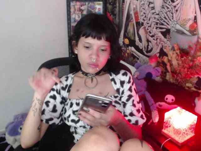 hachi-kitty