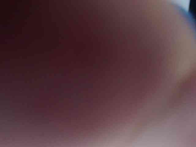 hachi-kitty webcam