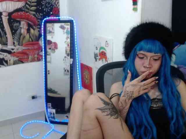 hachi-kitty webcam