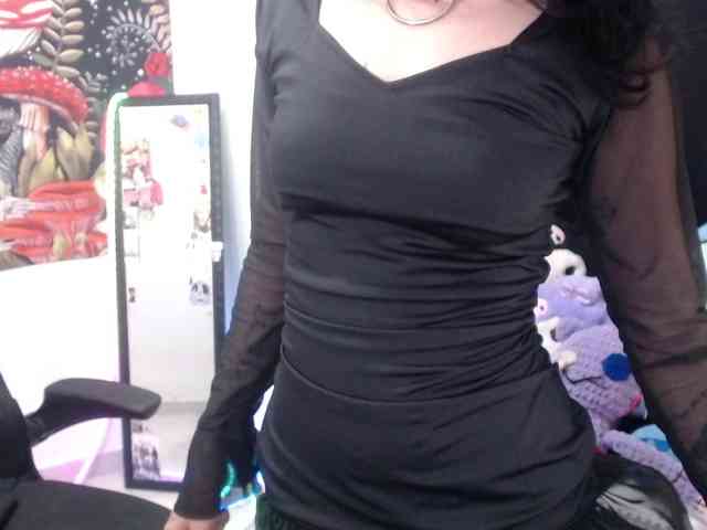 hachi-kitty webcam