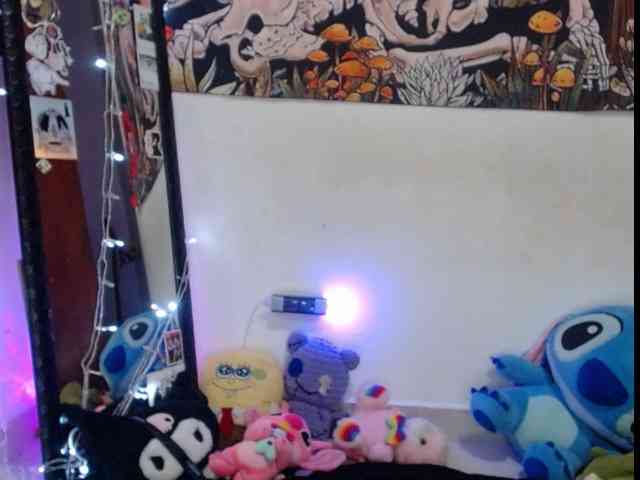hachi-kitty webcam