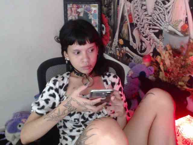 hachi-kitty