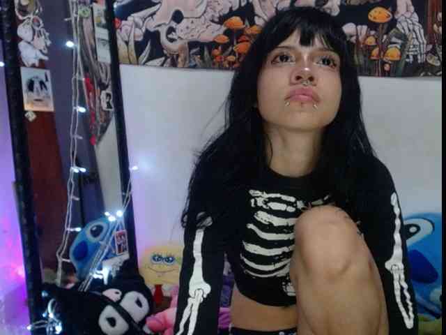 hachi-kitty webcam