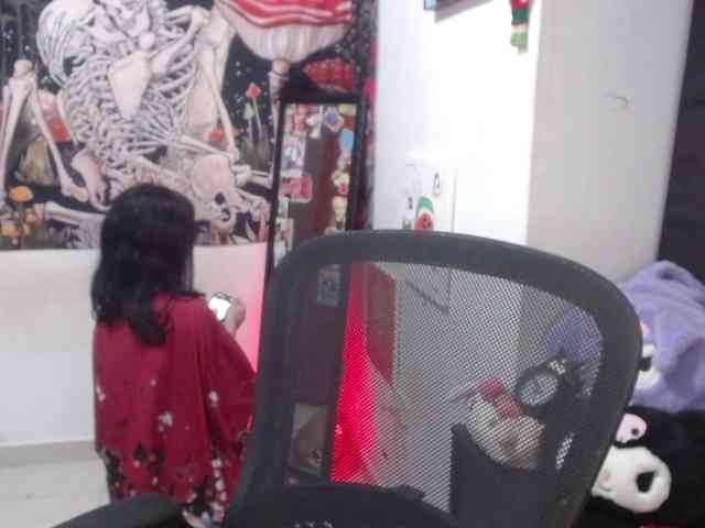 hachi-kitty webcam