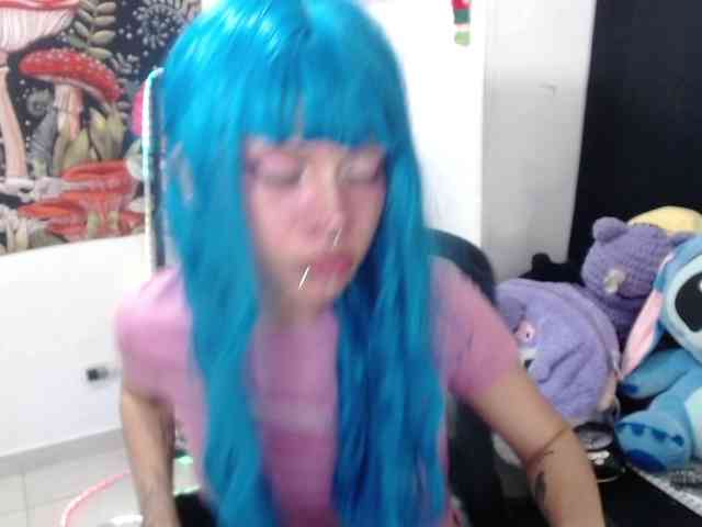 hachi-kitty webcam