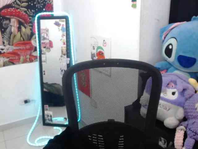 hachi-kitty webcam