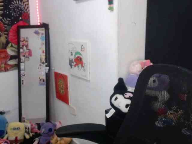 hachi-kitty webcam