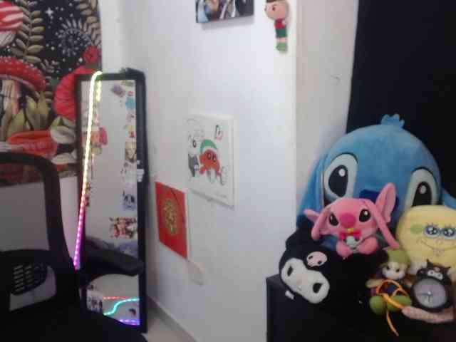 hachi-kitty webcam