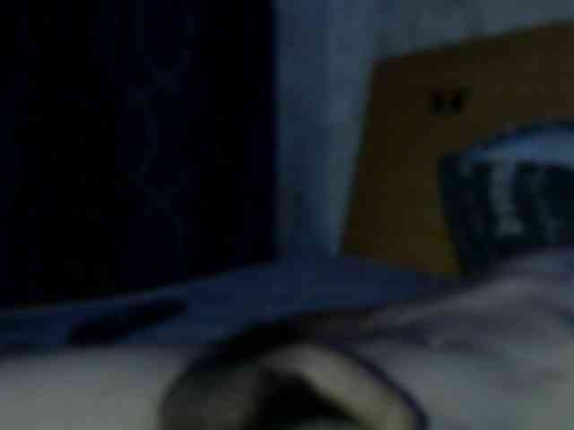 VoodooBoy1