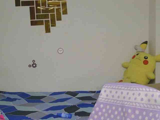 Yashika webcam