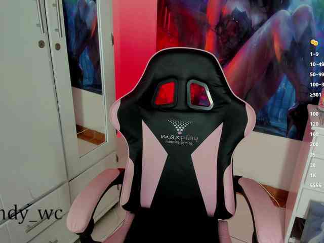 yendy-wc webcam