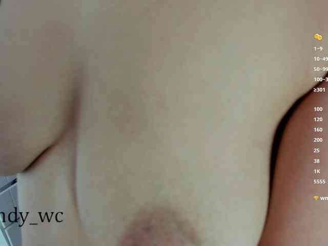 yendy-wc webcam