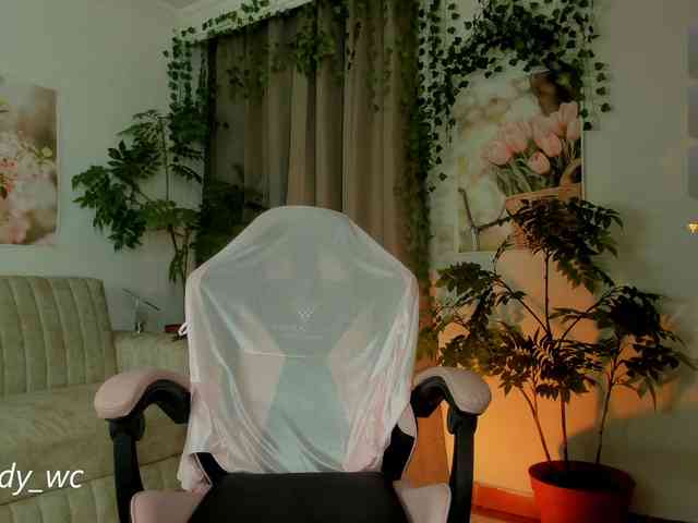 yendy-wc webcam