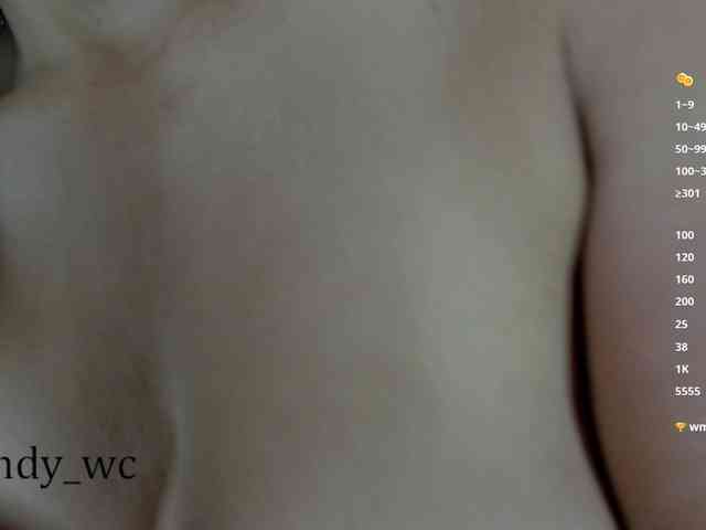 yendy-wc webcam