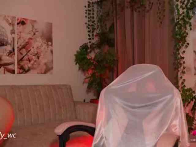 yendy-wc webcam