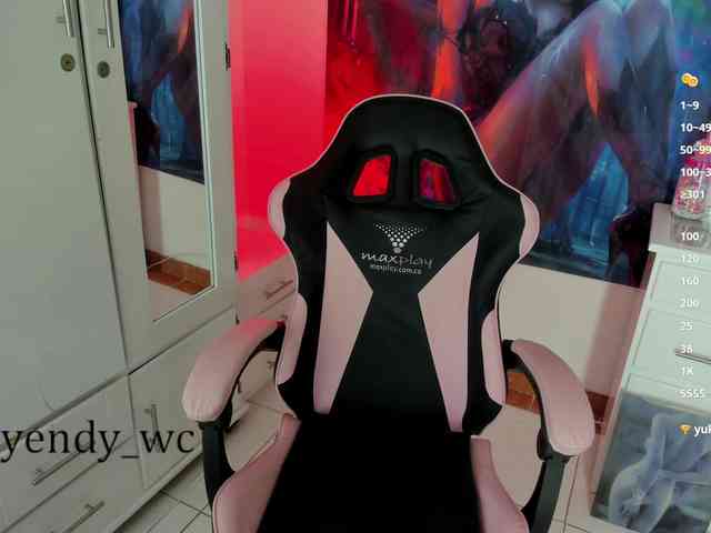 yendy-wc webcam
