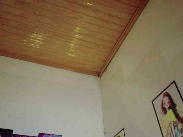 Pinkxcat webcam