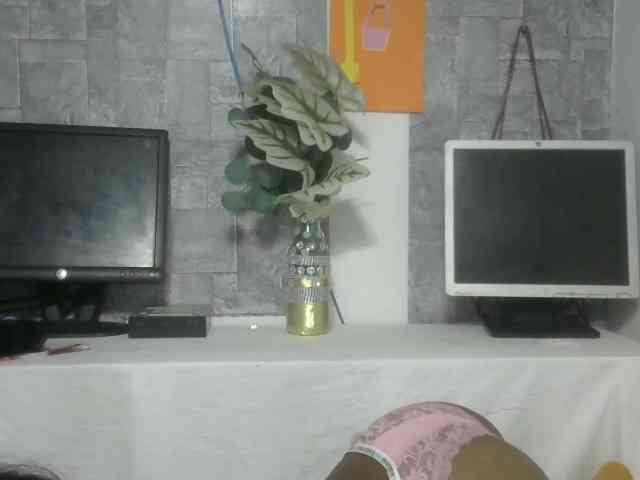 Maha19x webcam