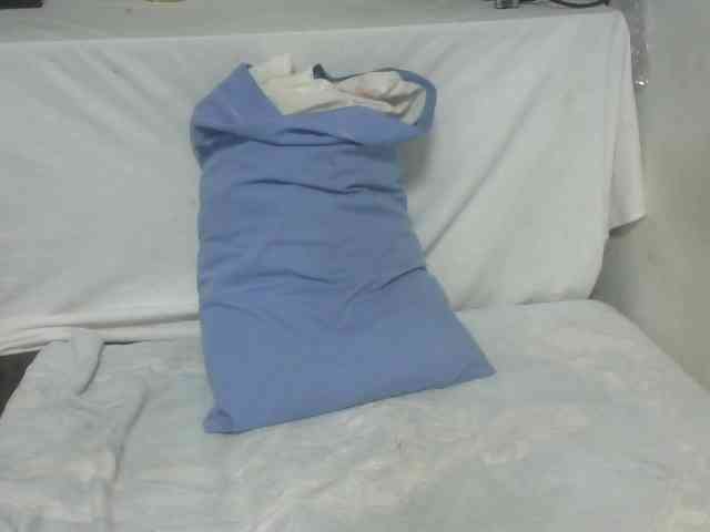 Maha19x webcam
