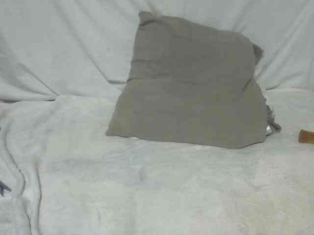 Maha19x webcam