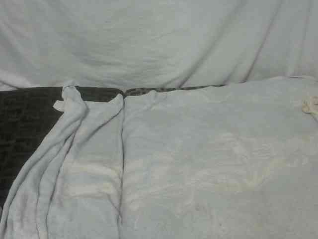 Maha19x webcam