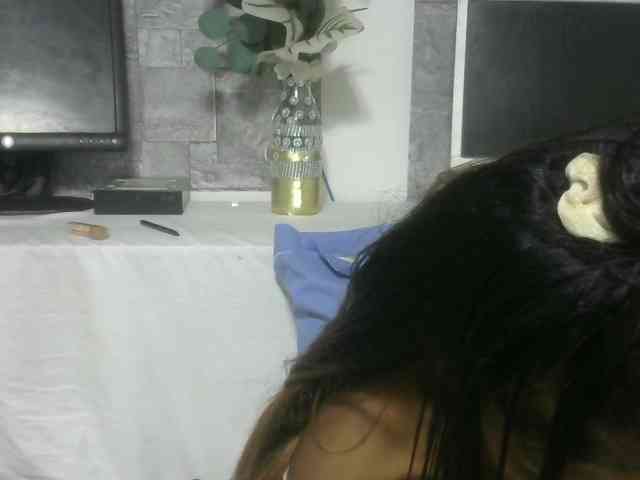 Maha19x webcam