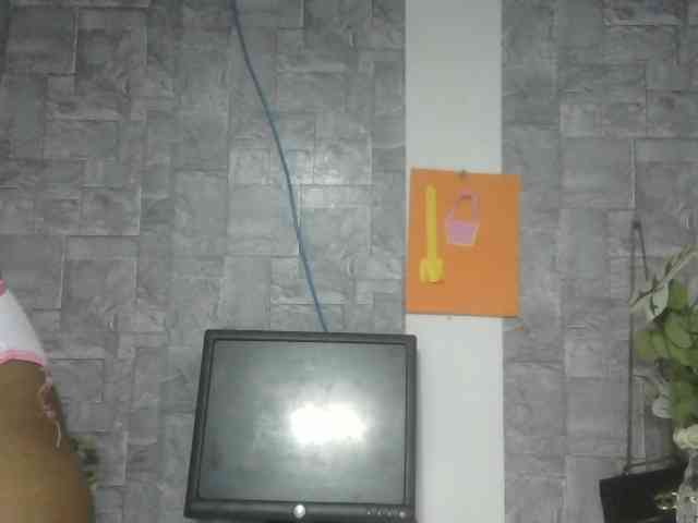 Maha19x webcam