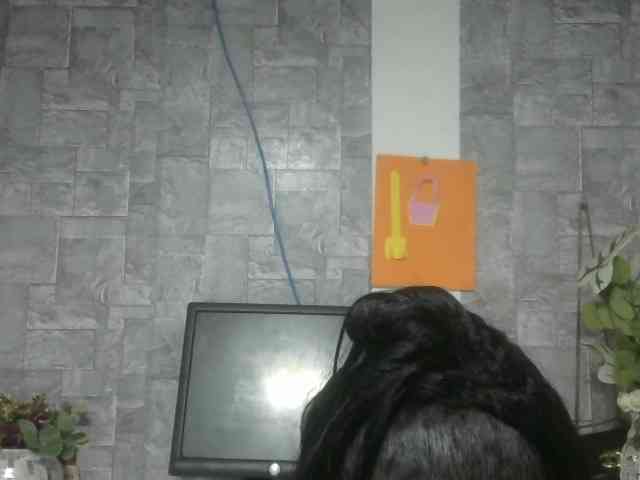 Maha19x webcam