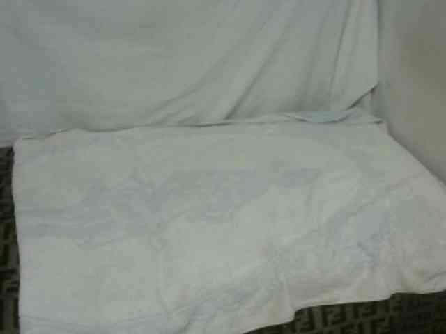 Maha19x webcam