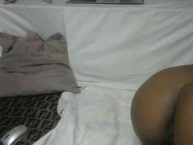 Maha19x webcam