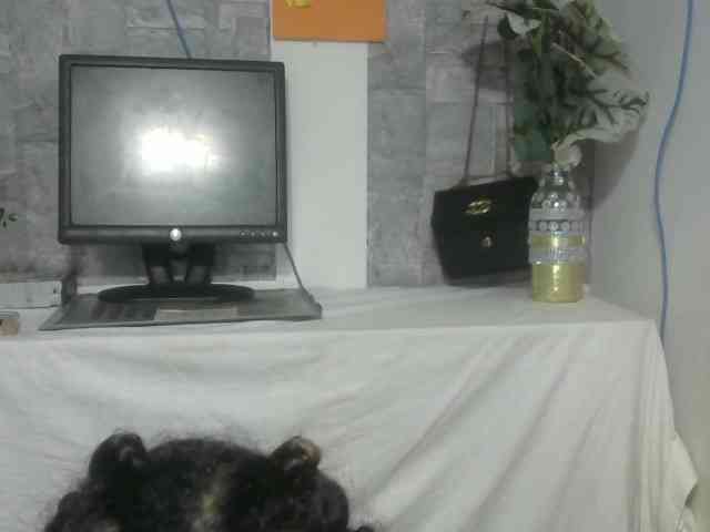 Maha19x webcam