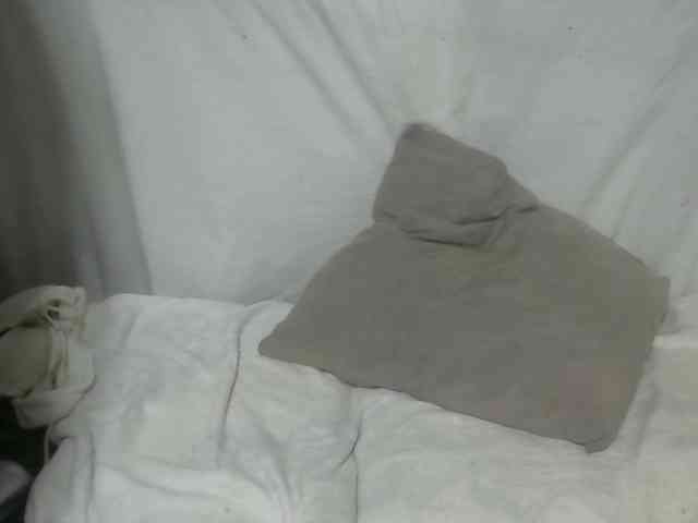 Maha19x webcam