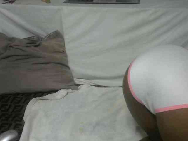 Maha19x webcam