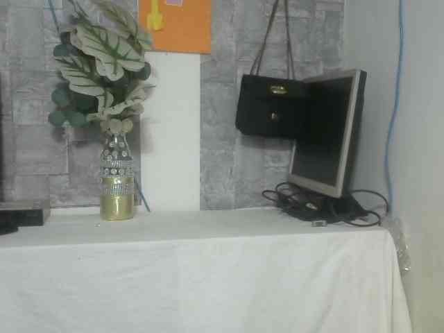Maha19x webcam