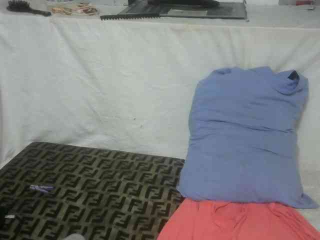 Maha19x webcam