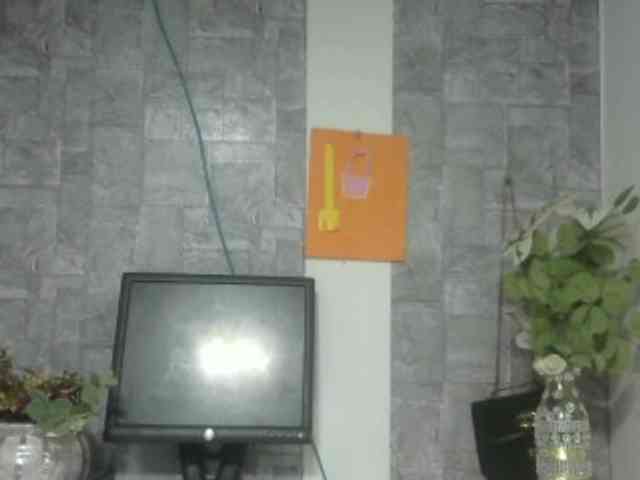 Maha19x webcam