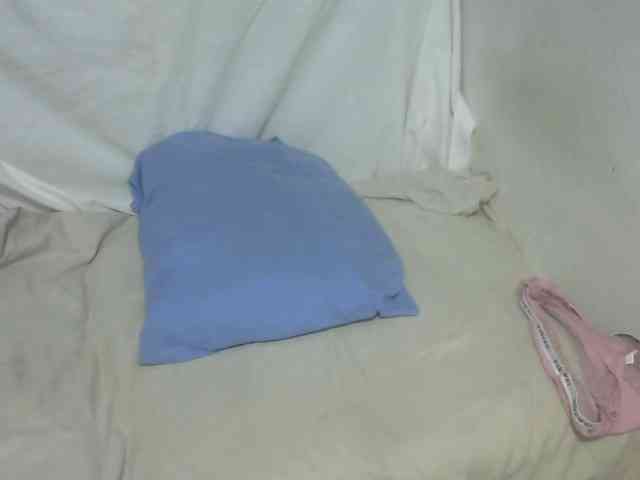 Maha19x webcam