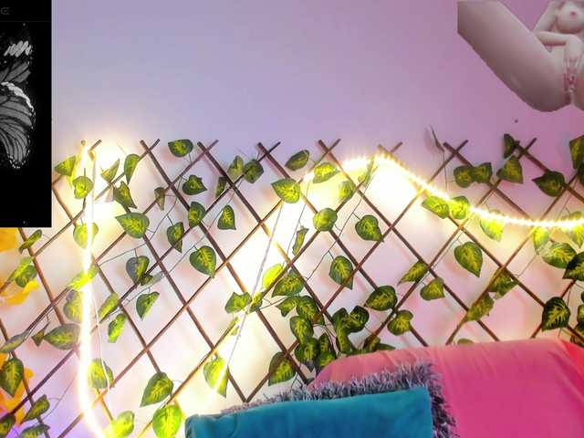 HaleyAmaya live cam on BongaCams