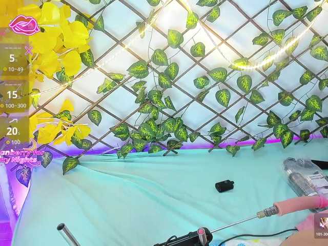 HaleyAmaya live cam on BongaCams
