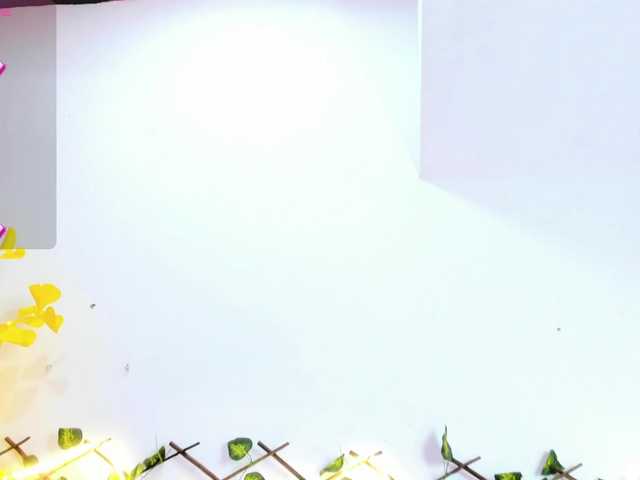 HaleyAmaya live cam on BongaCams