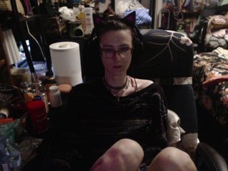 pussyxpaladin