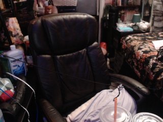 pussyxpaladin Porn Show