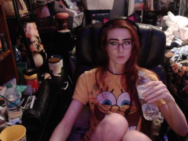pussyxpaladin